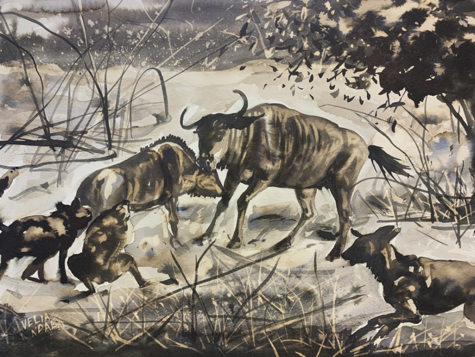 Wild Dogs Hunting