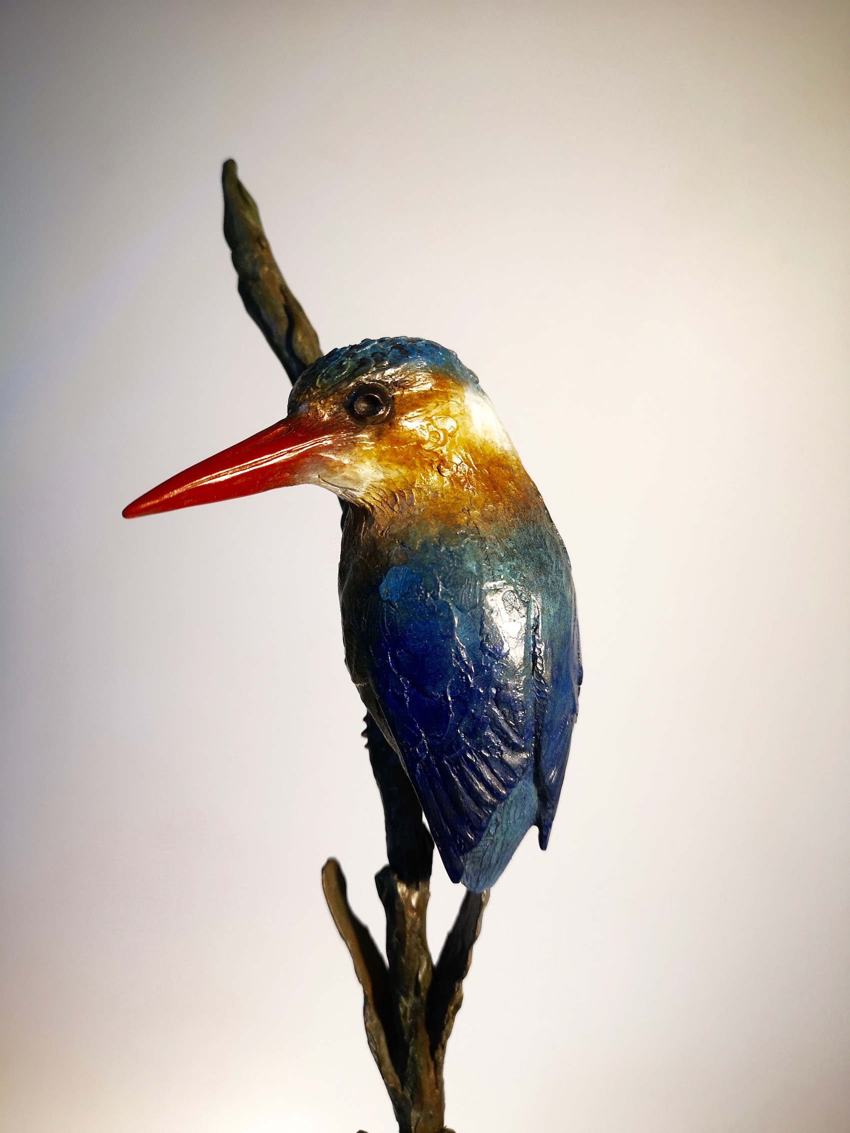 Malachite Kingfisher